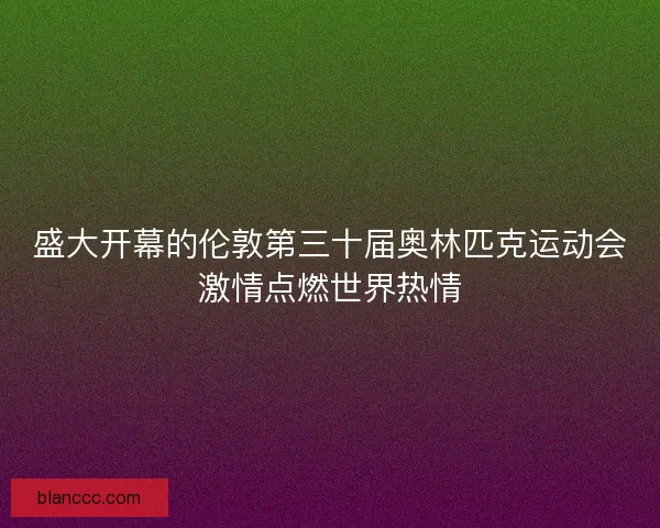 盛大开幕的伦敦第三十届奥林匹克运动会激情点燃世界热情 盛大开幕的伦敦第三十届奥林匹克运动会激情点燃世界热情
