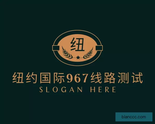 关于纽约国际967ny